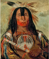 Buffalo Bulls Back Fat By George Catlin 1832