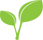Green Leaves Graphics