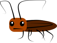 Roach