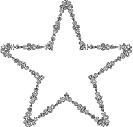 Ornamented Star