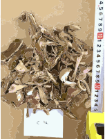 Chinese factory directly supply dry mushroom - Porcini, Shiitake, Champignons 5