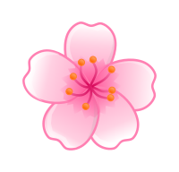 Sakura flower
