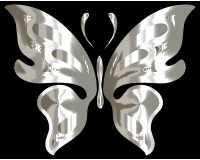 Prismatic Butterfly 12