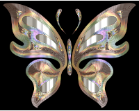 Prismatic Butterfly 12 Variation 3