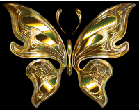 Prismatic Butterfly 14 Variation 2