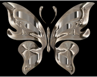 Prismatic Butterfly 15