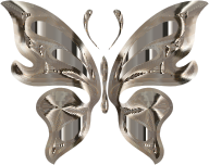 Prismatic Butterfly 15 No Background