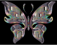 Prismatic Butterfly 15 Variation 2