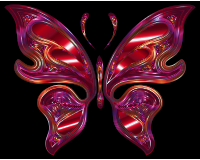 Prismatic Butterfly 16