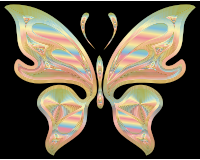 Prismatic Butterfly 17 Variation 2