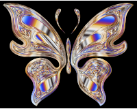 Prismatic Butterfly 18