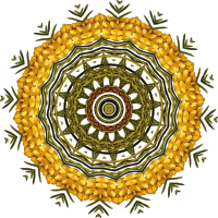 Plant design 6