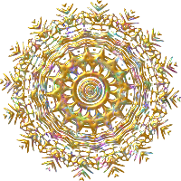 Plant design 9 