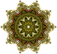 Plant design 11