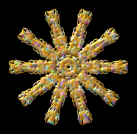 Plant design 20