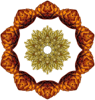 Plant design 21