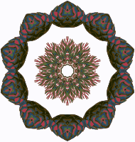 Plant design 23
