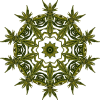 Plant design 26