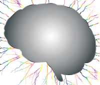 Brain Storm 5 No Background