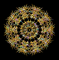 Plant design 35