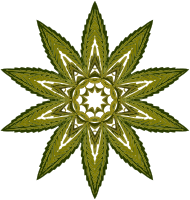 Plant design 36