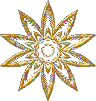 Plant design 39