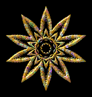 Plant design 40