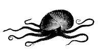 Victorian illustration of a Paper Nautilus