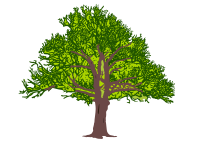 tree3 coloured