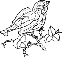 Bird 3