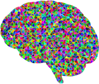 Prismatic Low Poly Brain 2