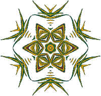 Plant design 43
