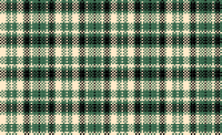 Woven Plaid Green