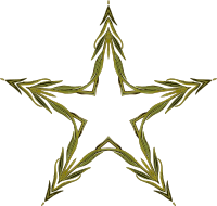 Plant design 56