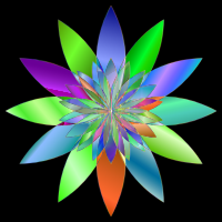 Chromatic Flower 3