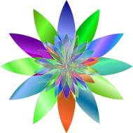Chromatic Flower 3 No Background