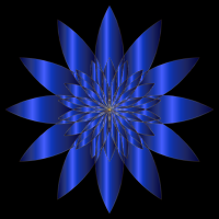 Chromatic Flower 6
