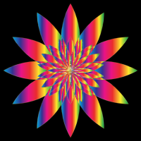 Chromatic Flower 9