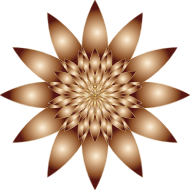 Chromatic Flower 10 No Background