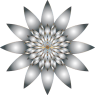 Chromatic Flower 11 No Background
