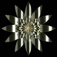 Chromatic Flower 13