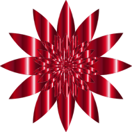 Chromatic Flower 14 No Background