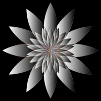 Chromatic Flower 16