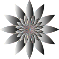 Chromatic Flower 16 No Background