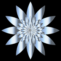 Chromatic Flower 17