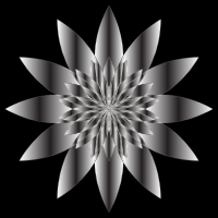 Chromatic Flower 18