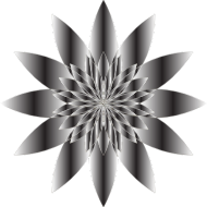 Chromatic Flower 18 No Background
