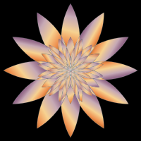 Chromatic Flower 19