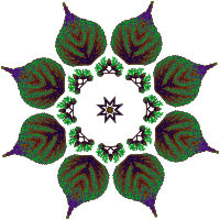 Plant design 68