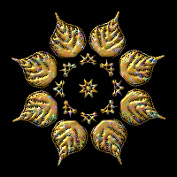 Plant design 70